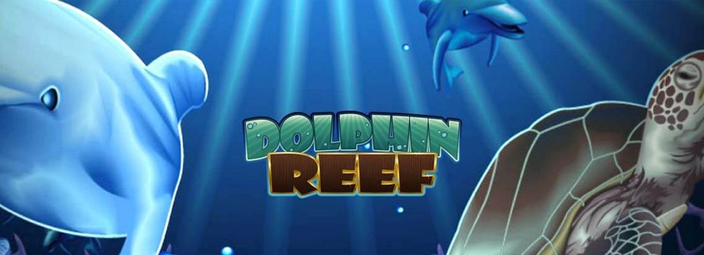 Dolphin Reef: A Sea of Multipliers